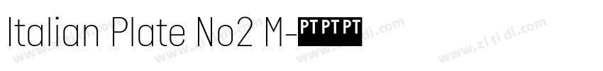 Italian Plate No2 M字体转换